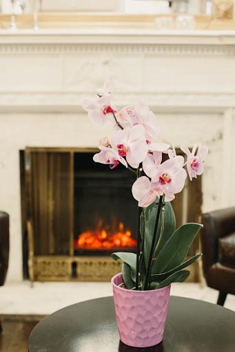 Hair Salon «New York New York Hair Salon and Day Spa», reviews and photos, 1201 N Market St, Frederick, MD 21701, USA