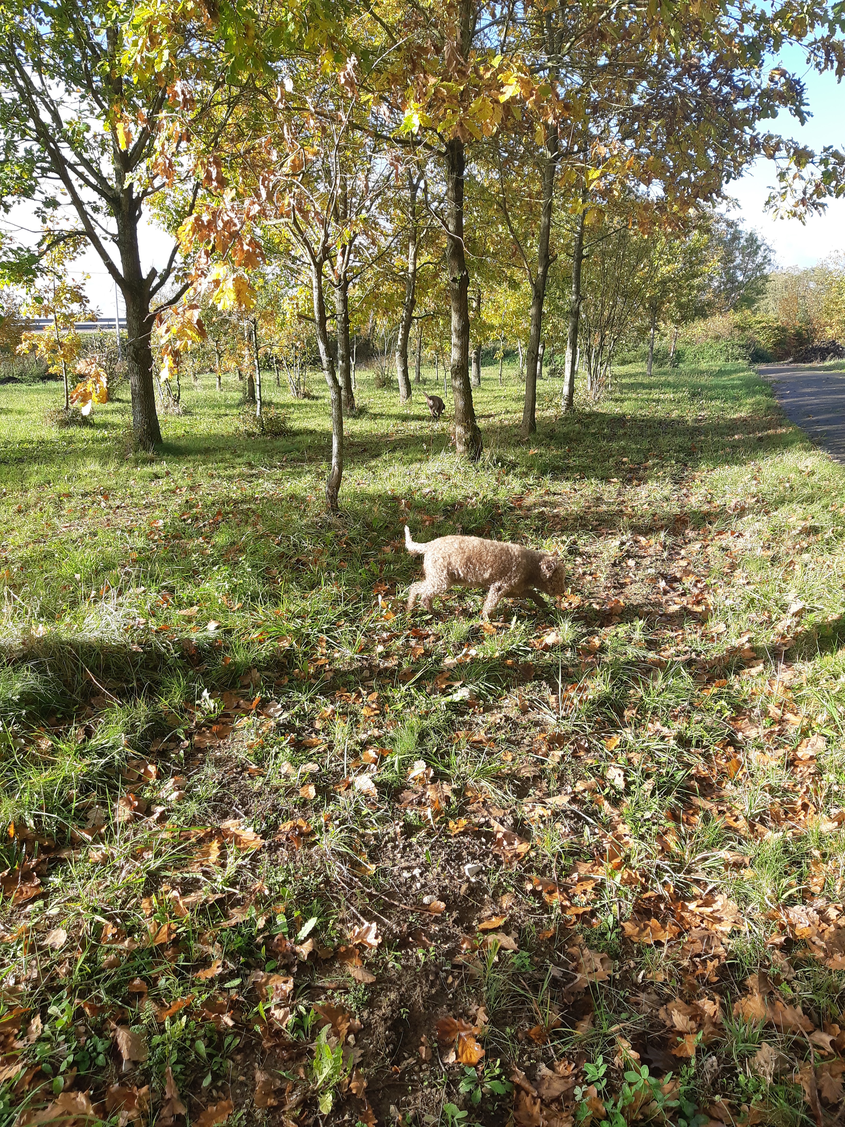 Photo n° 2 de l'avis de Brigitte.e fait le 11/11/2023 à 17:42