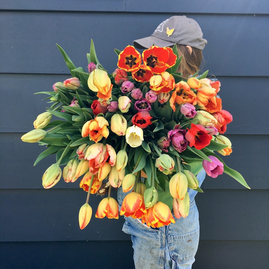 Farmstand at Bell Urban Farm