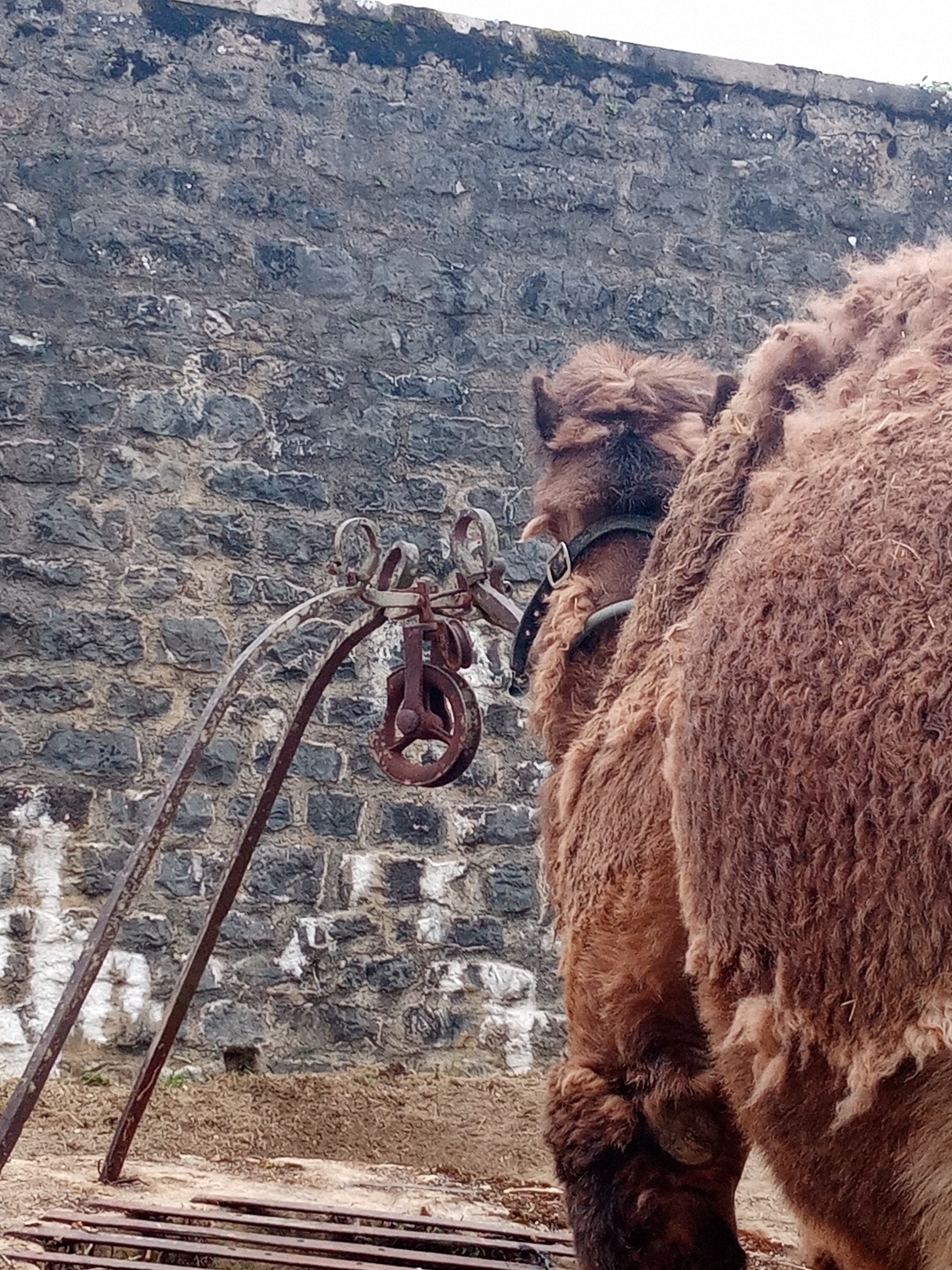 Photo n° 1 de l'avis de Carine. fait le 09/07/2023 à 09:13
