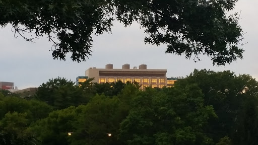 Public University «The University of Iowa», reviews and photos