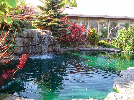 Pond contractor Mississauga