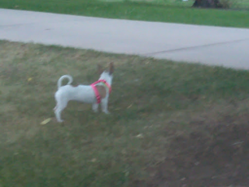 Park «Vanderbilt Park», reviews and photos, 855 S Platte River Dr, Denver, CO 80223, USA