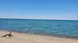 Barcelona Harbor Beach'in fotoğrafı imkanlar alanı