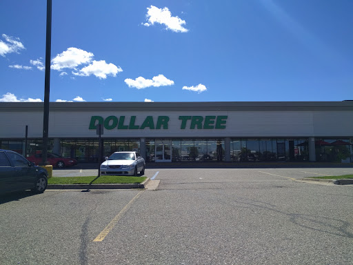 Dollar Store «Dollar Tree», reviews and photos, 1191 Washington Ave #130, Holland, MI 49423, USA