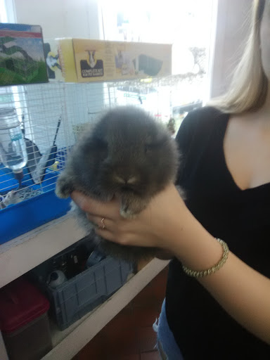 Pet Supply Store «Coastline Pet Supply», reviews and photos, 3530 Northgate Dr, Myrtle Beach, SC 29588, USA