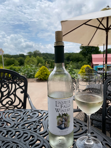 Vineyard «Linville Falls Winery», reviews and photos, 9557 Linville Falls Hwy, Newland, NC 28657, USA