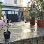 Photo n° 3 de l'avis de David.a fait le 11/07/2022 à 20:16 pour Le Cintra à Lyon