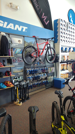 Bicycle Store «Metro Bike», reviews and photos, 46575 Hayes Rd, Shelby Charter Township, MI 48315, USA