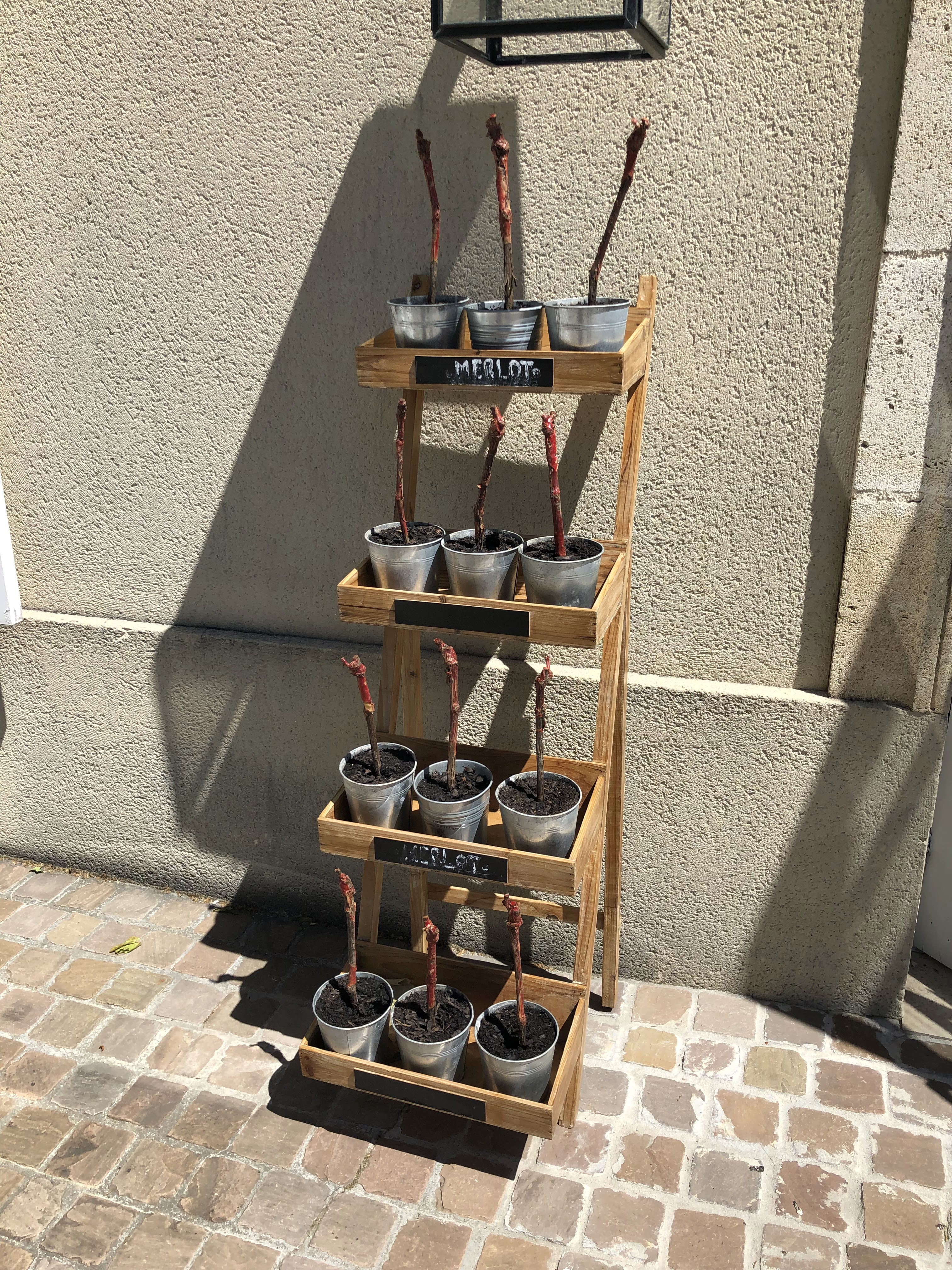 Photo n° 27 de l'avis de Tatsuya.a fait le 14/05/2019 à 20:14