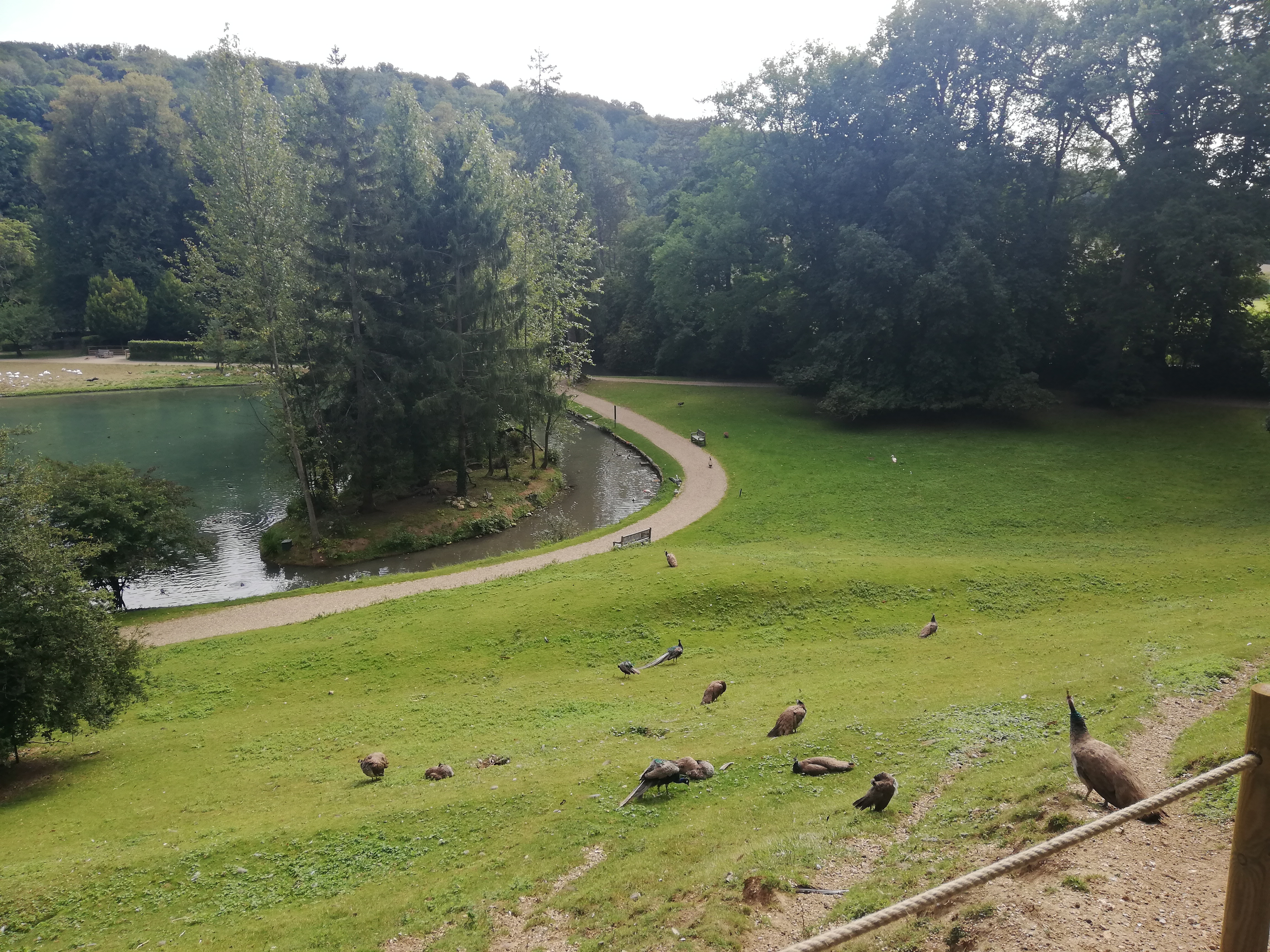 Photo n° 16 de l'avis de Jérôme.r fait le 09/10/2021 à 23:59