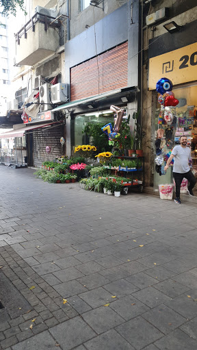 חנות פרחים בתל אביב אלנבי פרחים ומשתלה