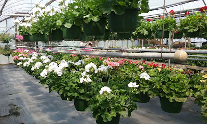 Centre Flower Mart