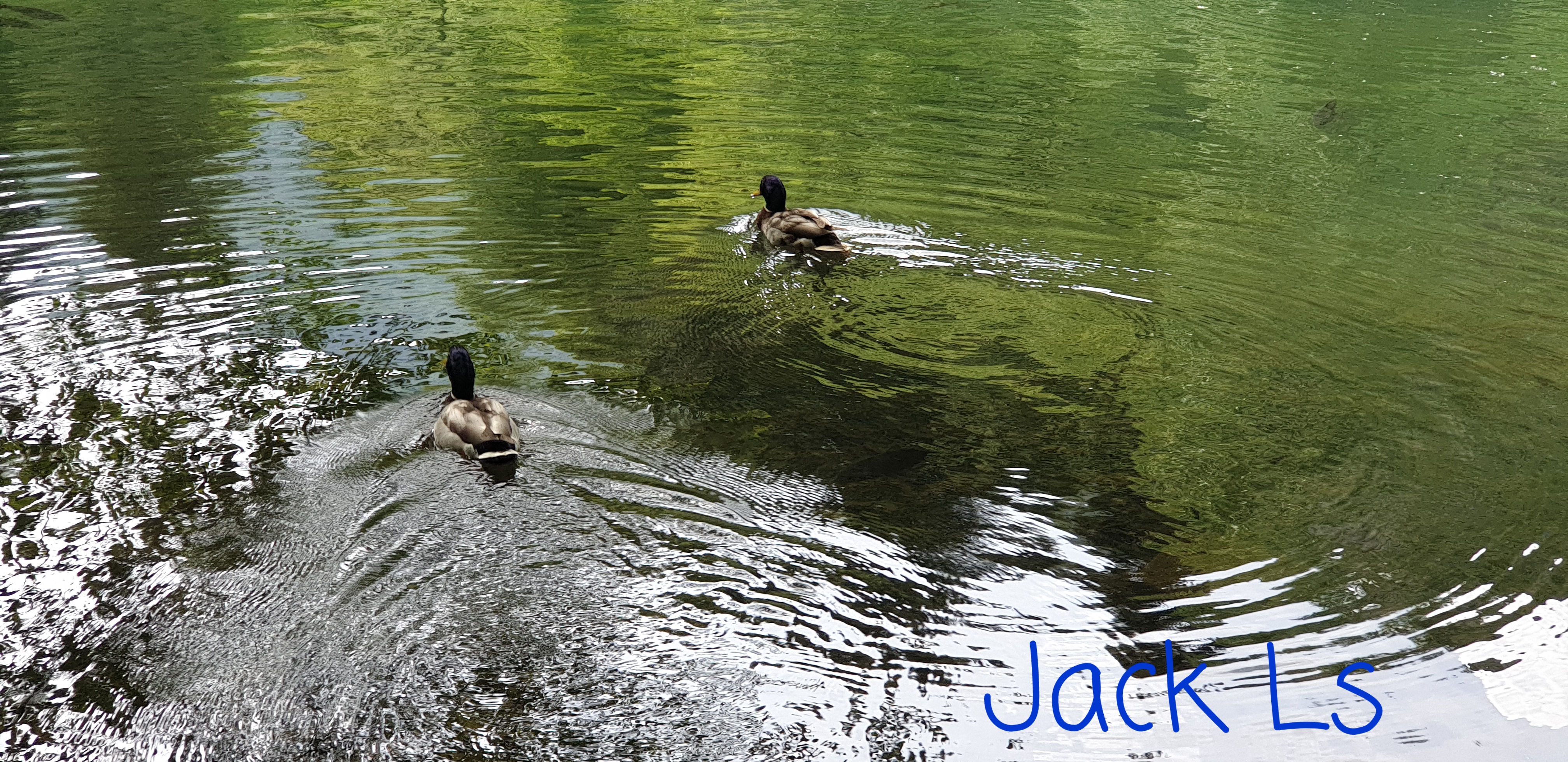 Photo n° 4 de l'avis de Jack.s fait le 09/06/2023 à 15:22
