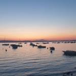 Photo n°4 de l'avis de emanuela.o fait le 17/07/2022 à 04:37 sur le  La Capanna del Pescatore à Montefiascone