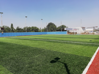 ALAYLAR HALI SAHA VE CAFE