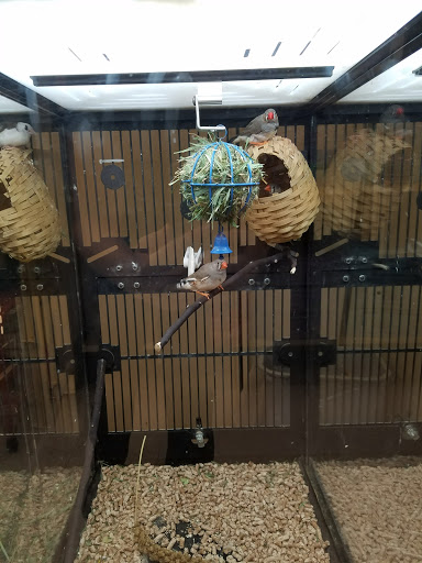 Pet Supply Store «PetSmart», reviews and photos, 15615 E Broadway Ave, Spokane Valley, WA 99037, USA