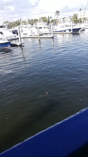 Sightseeing Tour Agency «Jungle Queen Riverboat», reviews and photos, 801 Seabreeze Blvd, Fort Lauderdale, FL 33316, USA