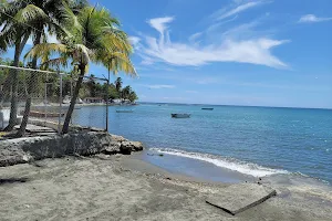 Playa Cocolandia image