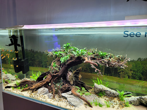 Pet Supply Store «Exotic Aquatic», reviews and photos, 275 E Oakland Park Blvd, Fort Lauderdale, FL 33334, USA