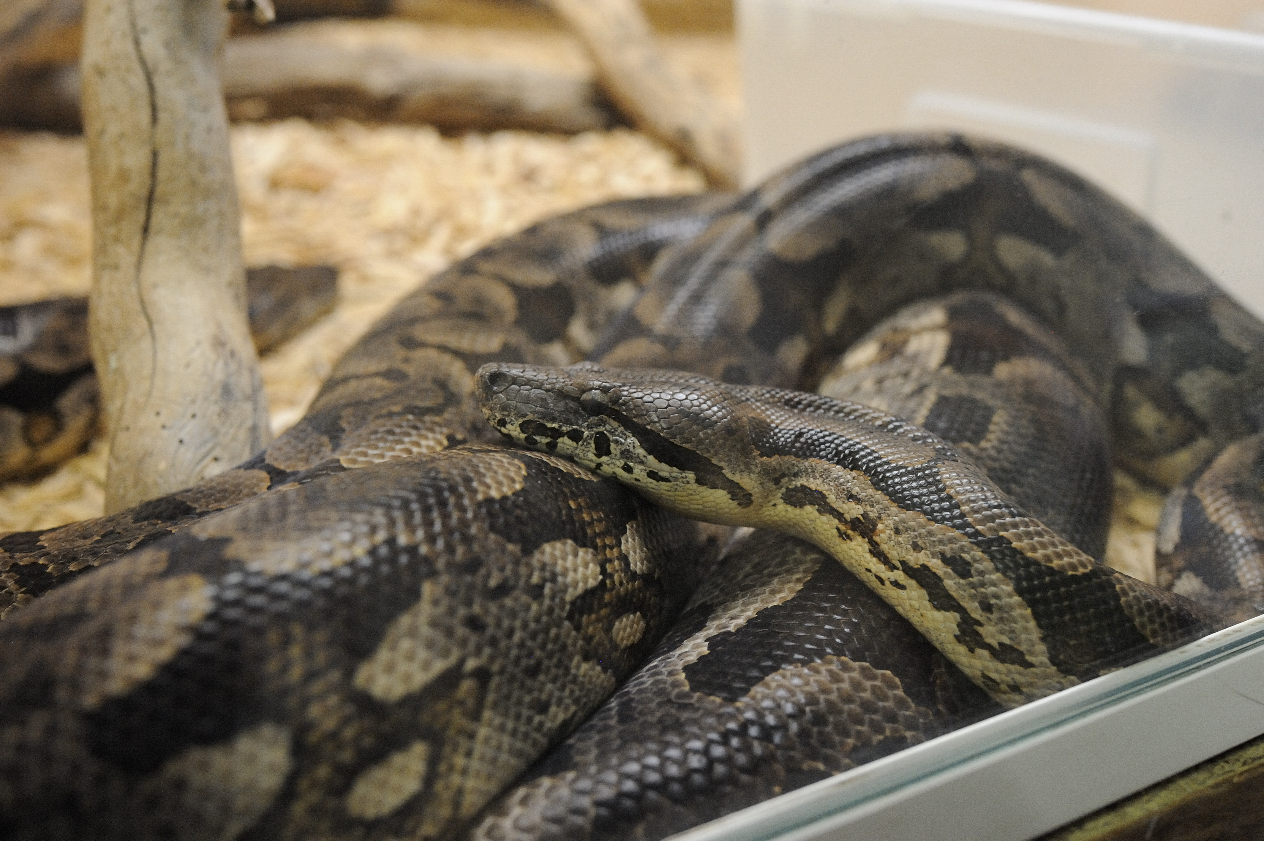 Photo n° 2 de l'avis de Lino. fait le 21/10/2023 à 19:11