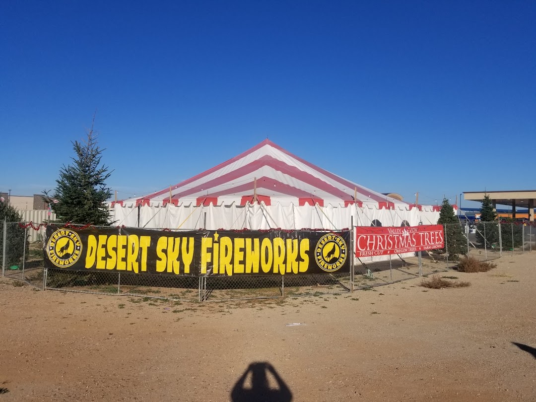 Desert Sky Fireworks