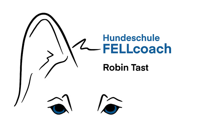Fellcoach - Robin Tast - Freiburg