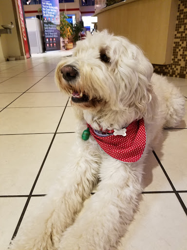 Toyota Dealer «Expressway Toyota», reviews and photos, 700 William T Morrissey Blvd, Boston, MA 02122, USA