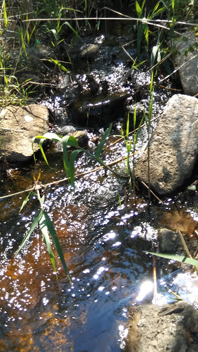 Park «Fort Gratiot County Park», reviews and photos, 3325 Metcalf Rd, Fort Gratiot Twp, MI 48059, USA