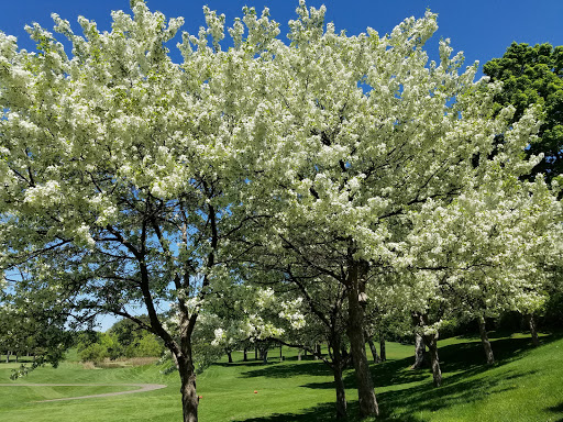 Golf Course «Glen Lake Golf Course», reviews and photos, 14350 County Rd 62, Minnetonka, MN 55345, USA