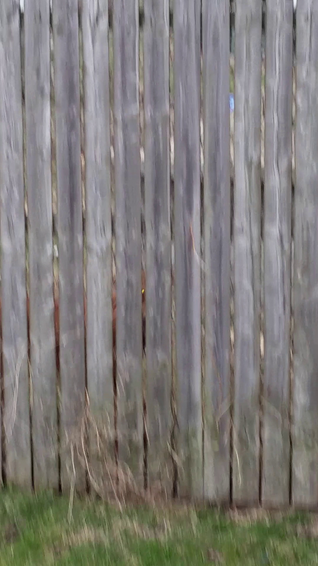 Marion Recreation Center