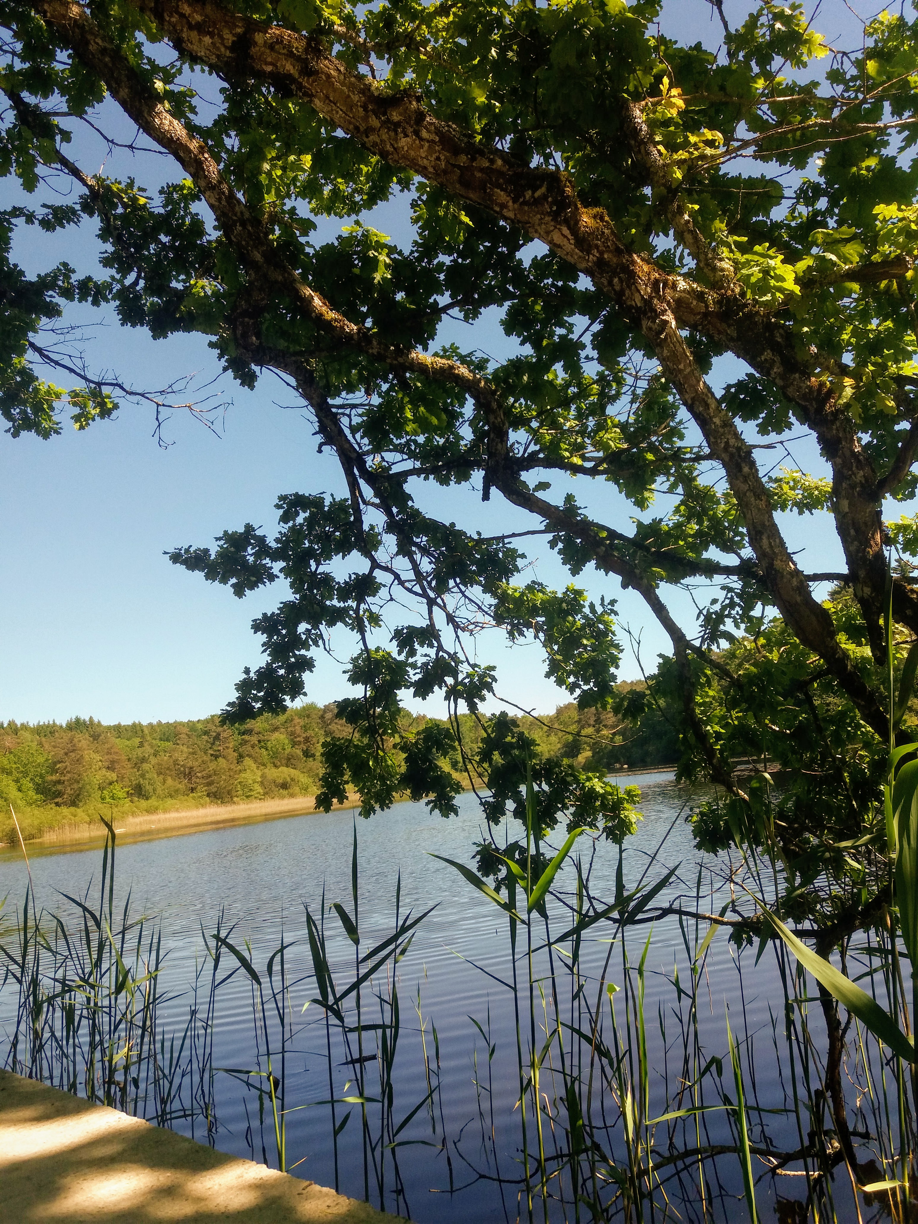 Photo n° 5 de l'avis de Carole.A fait le 03/06/2019 à 15:30