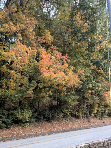 Golf Course «Chastain Park Golf Course», reviews and photos, 216 W Wieuca Rd NW, Atlanta, GA 30342, USA