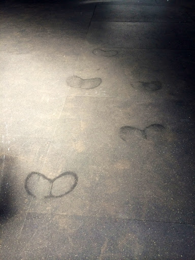 Gym «CrossFit OverWatch», reviews and photos, 1990 Olivera Rd d, Concord, CA 94520, USA