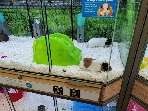 Pet Supply Store «Petco Animal Supplies», reviews and photos, 2241 Porter Creek Dr, Fort Worth, TX 76177, USA