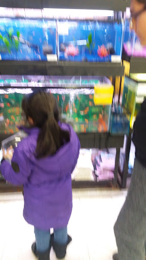 Pet Store «Petland Discounts - New Rochelle», reviews and photos, 216 North Ave, New Rochelle, NY 10801, USA