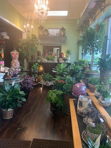 Florist «Heather and Vine», reviews and photos, 6960 Wolf Rd, Indian Head Park, IL 60525, USA