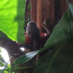 Photo n°4 de l'avis de Jubi0096. fait le 02/11/2023 à 16:51 sur le  Aquarium Wilhelmshaven incl. Prehistoric Sea Museum à Wilhelmshaven