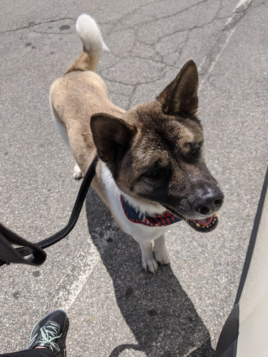 Pet Supply Store «PetSmart», reviews and photos, 482 Stillwater Ave Ste 2A, Bangor, ME 04401, USA