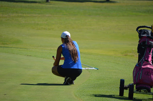 Golf Course «Long Hollow Golf Course», reviews and photos, 1080 Long Hollow Pike, Gallatin, TN 37066, USA