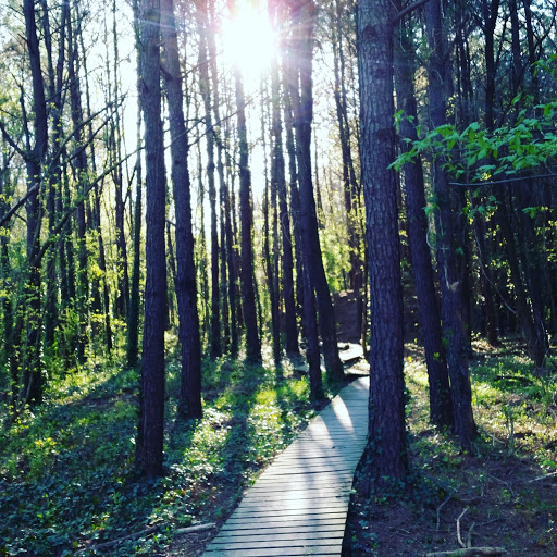 Nature Preserve «Clyde Shepherd Nature Preserve», reviews and photos, 2580 Pine Bluff Dr, Decatur, GA 30033, USA