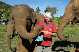 Ran-Tong Best elephant sanctuary image