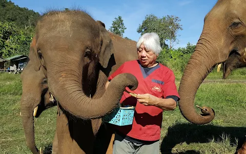 Ran-Tong Best elephant sanctuary image