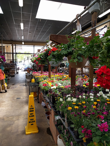 Hardware Store «Orchard Supply Hardware», reviews and photos, 155 Crescent Plaza, Pleasant Hill, CA 94523, USA