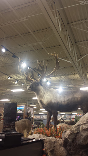 Outdoor Sports Store «Field & Stream», reviews and photos, 5215 Century Ave, Kalamazoo, MI 49006, USA