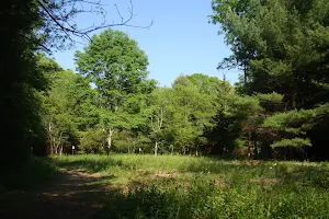 Nickerson Walking Woods Preserve image