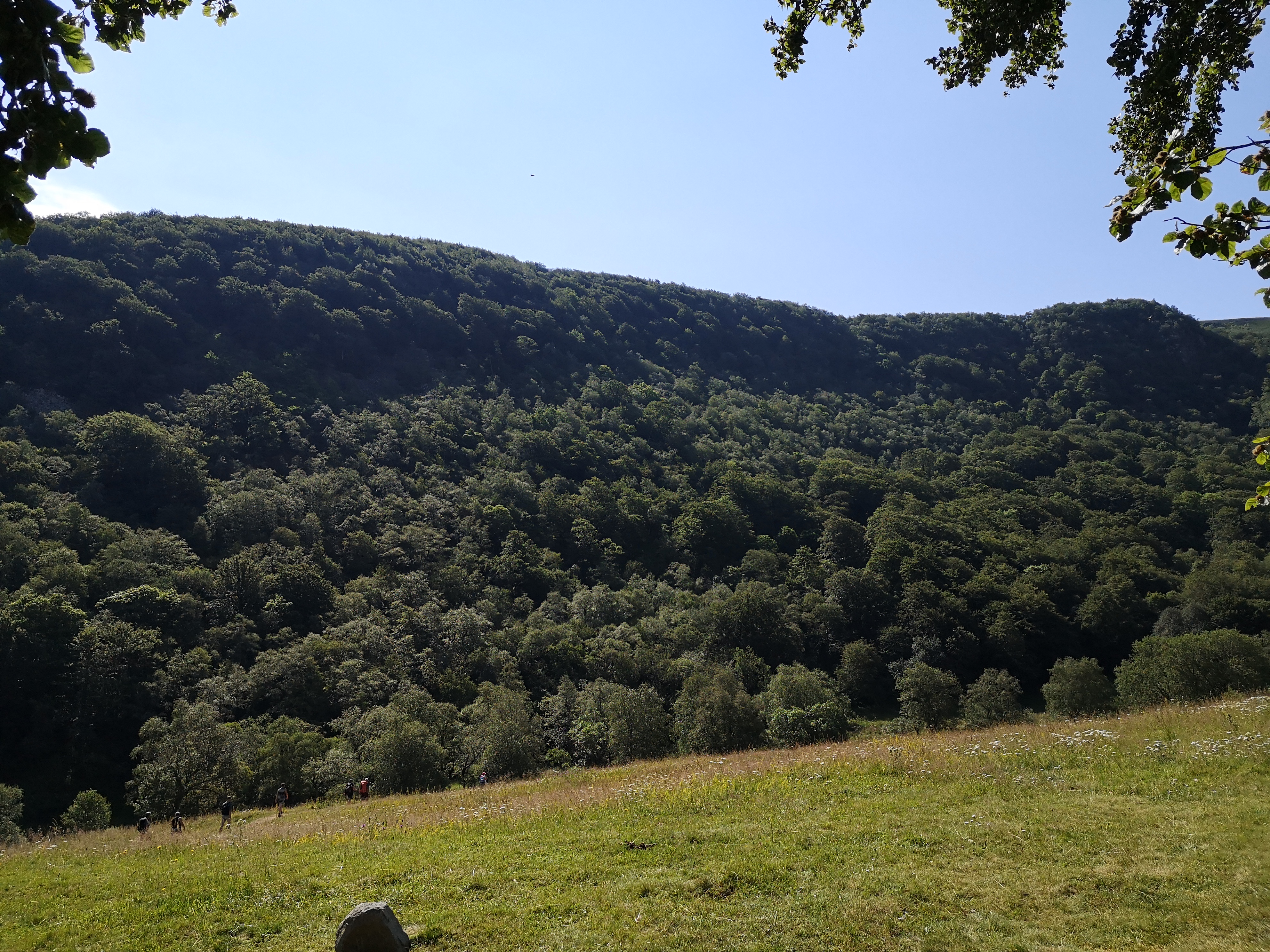 Photo n° 2 de l'avis de Fenless. fait le 21/07/2020 à 10:32