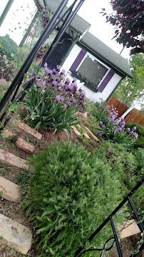 Never Hair Again Skin Care Hair Removal Aurora - Photo 5 - Car repair in , Aurora