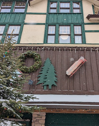 Locomotion Pet Treats