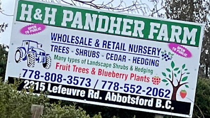 H & H Pandher Farm ( Wholesale & Retail Nursery )